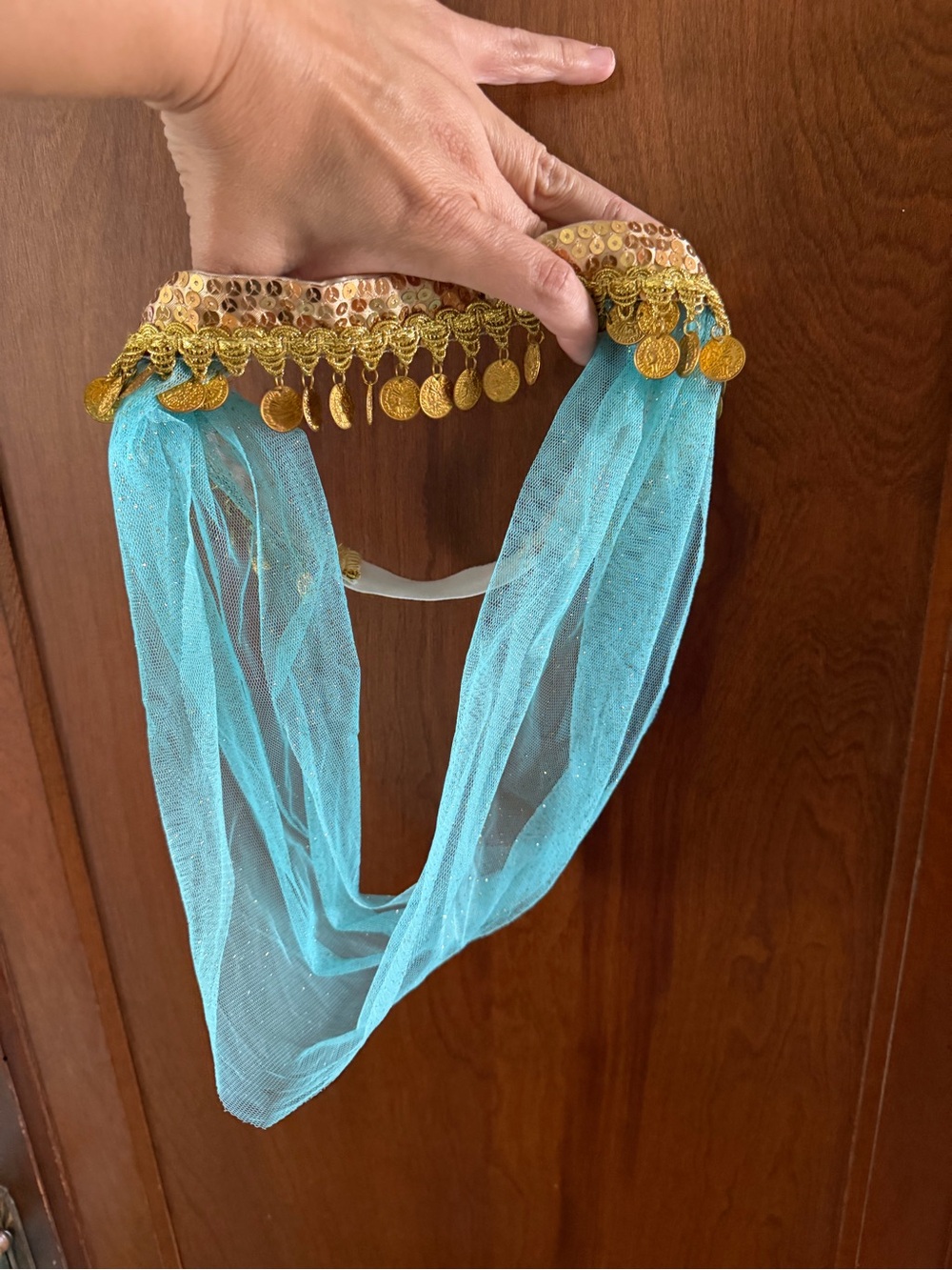 Kids Shimmery Teal Genie/Jasmine Costume with Gold Trim - Picture 10 of 10